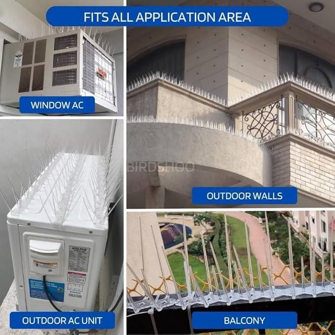 Pigeon Control Spikes (Set of 10)