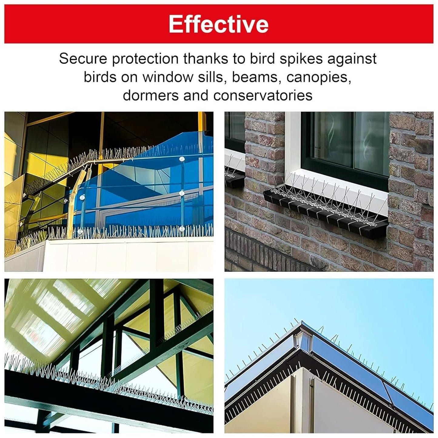 Pigeon Control Spikes (Set of 10)